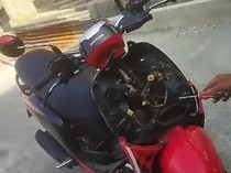 Cerita Warga Cawas Klaten Kobra Jawa Nongol dari Setang Motor Saat Melaju