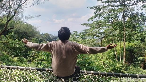 Fasilitas dan aktivitas di Bojafarm & Farmstay di Bogor