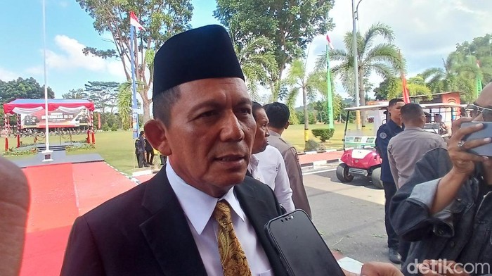 Gubernur Kepri, Ansar Ahmad. (Foto: Alamudin Hamapu/detikSumut)