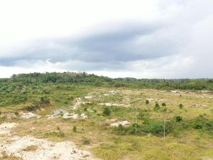 Bank Tanah Pakai Lahan 4 Hektare di Poso buat Program Ketapang