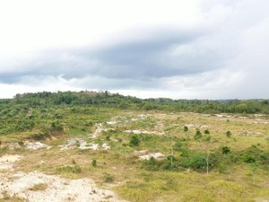 Tanah Telantar Diambil Negara, Pemilik Dapat Kompensasi?