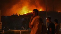 Badan penanggulangan bencana Turki (AFAD) mencatat lebih dari 50.000 orang dari 41 area permukiman telah dievakuasi ke lokasi yang lebih aman, sebagian besar dari Provinsi Izmir. Mehmet Emin Menguarslan/Anadolu via Getty Images