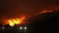 Kementerian Pertanian dan Kehutanan Turki mencatat sejak Jumat (27/6), sebanyak 263 kebakaran hutan terjadi di berbagai wilayah. Sebanyak 259 titik api berhasil dikendalikan, sementara 4 lainnya masih terus berkobar. Mehmet Emin Menguarslan/Anadolu via Getty Images