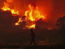 Kebakaran Hutan Landa Turki, 50.000 Warga Dievakuasi