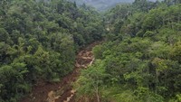 Longsoran tebing setinggi 250 meter menutupi sawah warga di Tenjowaringin. Dua petani belum ditemukan hingga Selasa (1/7/2025). ANTARA FOTO/ADENG BUSTOMI