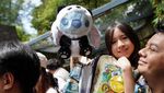 Meksiko Rayakan Ulang Tahun ke-35 Panda Xin Xin