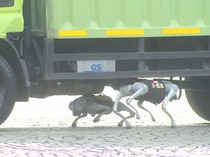 Robot K9 Polri Bisa Kayak Anjing Pelacak Beneran!