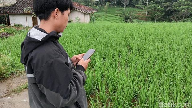 Potret warga Talagasari, Kecamatan Banjarsari mencari sinyal internet