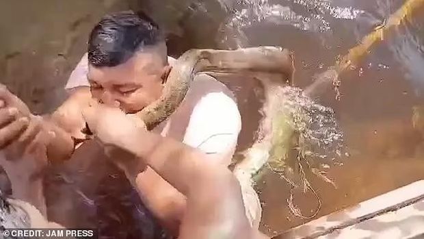 Pria Gigit Anaconda