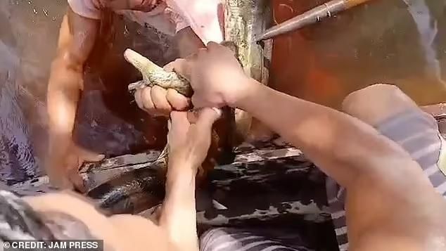 Pria Gigit Anaconda
