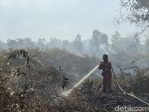 7 Kabupaten di Jambi Tetapkan Status Siaga Darurat Karhutla