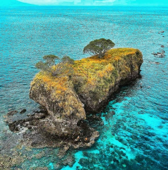 Pulau Ular di Bima, NTB. (Source Facebook)