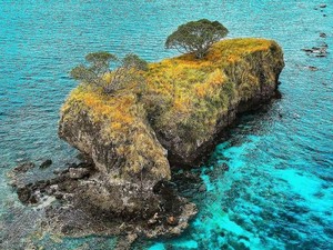 Misteri Pulau Ular di Bima dan Legenda Ular Jelmaan Manusia yang Terkutuk