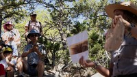 Jika dana dipotong, ranger dan staf ilmiah dikhawatirkan akan semakin terbebani untuk menjaga fasilitas umum. Para pengunjung khawatir kualitas layanan dan kebersihan taman akan menurun. (REUTERS/Kaylee Greenlee)  