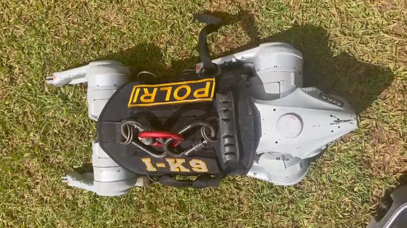 Robot K9 Polri (Rumondang/detikcom)