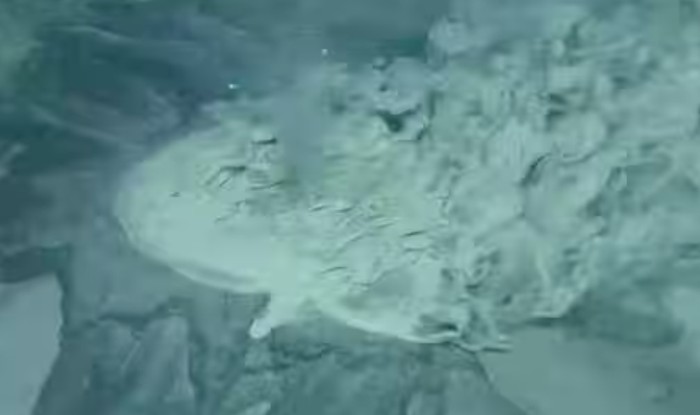 Semburan kawah di bawah laut