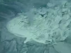 Harta Karun Tersembunyi Terus-terusan Menyembur dari Dalam Bumi