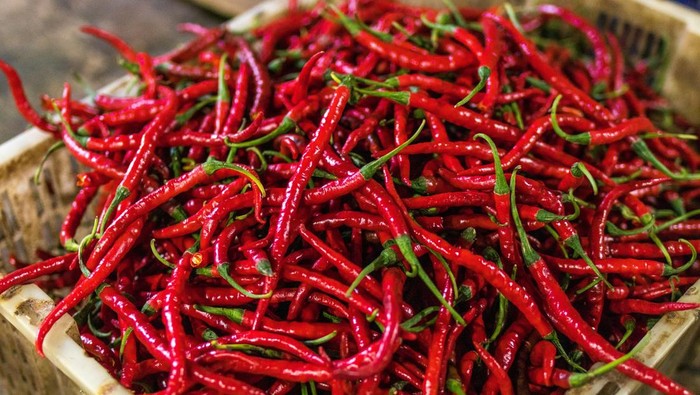 Cabai merah keriting di keranjang
