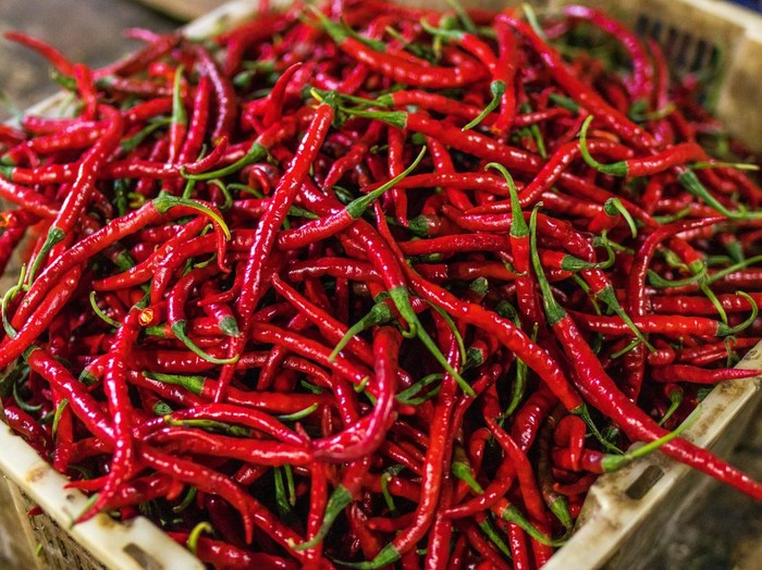 Cabai merah keriting di keranjang