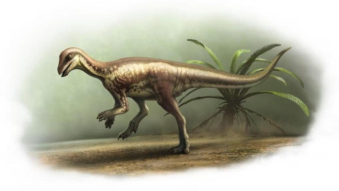 Fosil dinosaurus