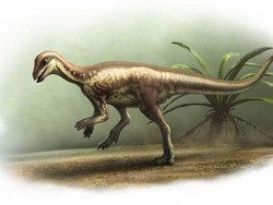 Penemuan Langka Spesies Baru Dinosaurus Sebesar Anjing