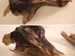 Kumpulan Benda Kuno Ini Punya Sejarah yang Bikin Melongo