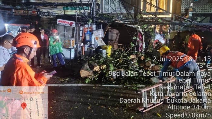 Hujan deras mengguyur wilayah Jakarta Selatan hari ini. Hujan deras mengakibatkan pohon tumbang di wilayah Tebet Timur. (Dok istimewa).