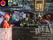 Pohon Tumbang Timpa Kios dan Motor di Jaksel gegara Hujan-Angin Kencang