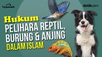 Hukum Memelihara Reptil, Burung dan Anjing dalam Islam