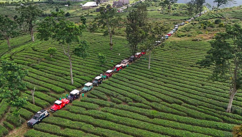 Jambore Nasional (Jamnas) TLCI ke-6 yang digelar 2 tahunan sekali, yang digelar pada 27-29 Juni 2025.