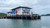 Jangkauan layanan kesehatan di daerah 3 T (Tertinggal, Terdepan, dan Terluar) memang diperlukan. Seperti yang dilakukan melalui Rumah Sakit Kapal Nusa Waluya II, hasil kolaborasi PT Pertamina International Shipping dengan Yayasan Dokter Peduli (doctorShare).