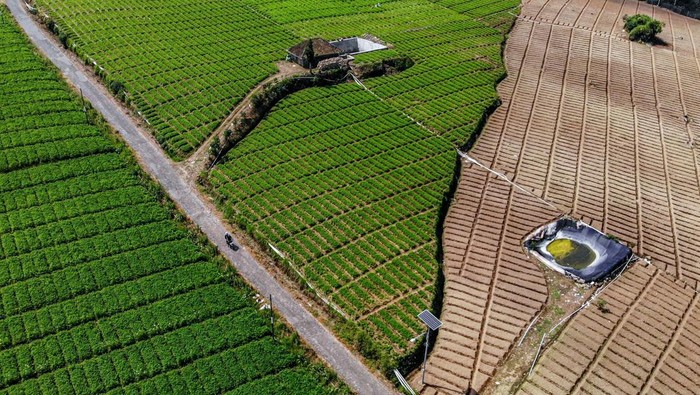 Kemarau Mendekat, Kolam Air Jadi Andalan Petani di Batu Jatim Foto udara sejumlah pekerja melakukan perawatan kolam penampungan air di lahan pertanian Bumiaji, Batu, Jawa Timur, Rabu (2/7/2025). Akibat tidak adanya sumber mata air di lahan pertanian tersebut, sejumlah petani di kawasan lereng Gunung Arjuno mulai menampung air yang dipompa dari aliran sungai sejauh enam kilometer dengan biaya sekitar Rp2,5 juta per bulan untuk lahan seluas 1,5 hektar guna mengantisipasi puncak musim kemarau yang diprediksi BMKG terjadi pada sekitar bulan Agustus. ANTARA FOTO/Muhammad Mada/YU