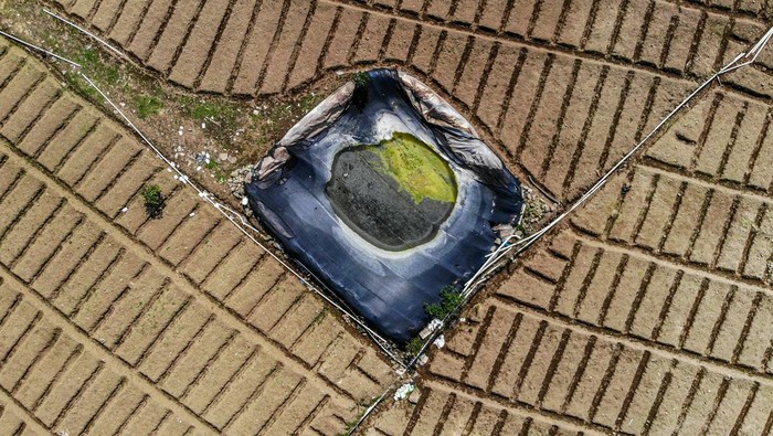 Kemarau Mendekat, Kolam Air Jadi Andalan Petani di Batu Jatim Foto udara sejumlah pekerja melakukan perawatan kolam penampungan air di lahan pertanian Bumiaji, Batu, Jawa Timur, Rabu (2/7/2025). Akibat tidak adanya sumber mata air di lahan pertanian tersebut, sejumlah petani di kawasan lereng Gunung Arjuno mulai menampung air yang dipompa dari aliran sungai sejauh enam kilometer dengan biaya sekitar Rp2,5 juta per bulan untuk lahan seluas 1,5 hektar guna mengantisipasi puncak musim kemarau yang diprediksi BMKG terjadi pada sekitar bulan Agustus. ANTARA FOTO/Muhammad Mada/YU