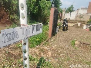 Cianjur Sepekan: Bambu Ajaib yang Bikin Geger