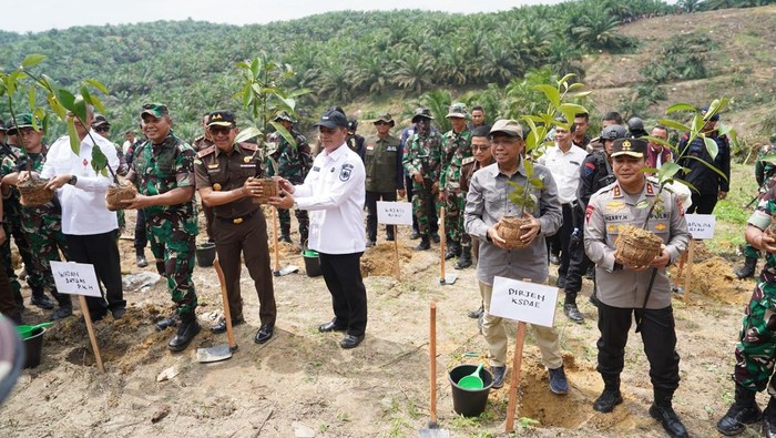 Maysarakat kelompok tani mengembalikan 311 hektare lahan Taman Nasional Tesso Nilo yang dijadikan lahan sawit kepada pemerintah, pada Rabu (2/7/2025).