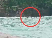 UGM Berduka 2 Mahasiswa KKN Meninggal gegara Longboat Terbalik