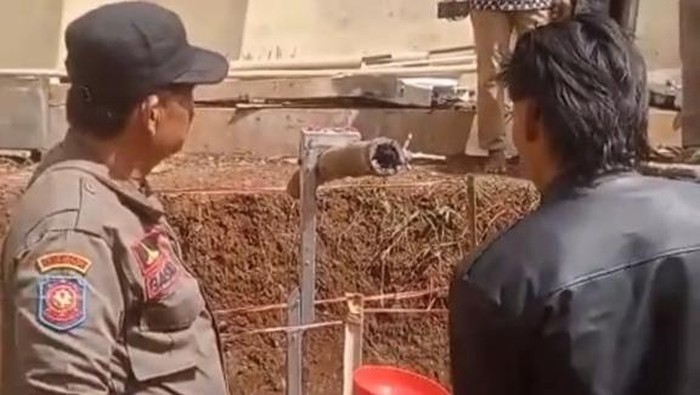 Bambu Ajaib Cianjur: dari Karya Seni, Salah Tafsir hingga Dibongkar