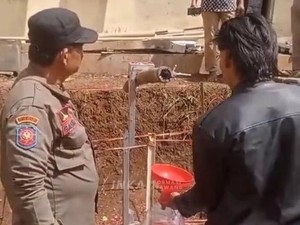 Bambu Ajaib Cianjur: dari Karya Seni, Salah Tafsir hingga Dibongkar