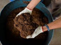 Emas Hitam yang Membuat Tanah Subur di NYC