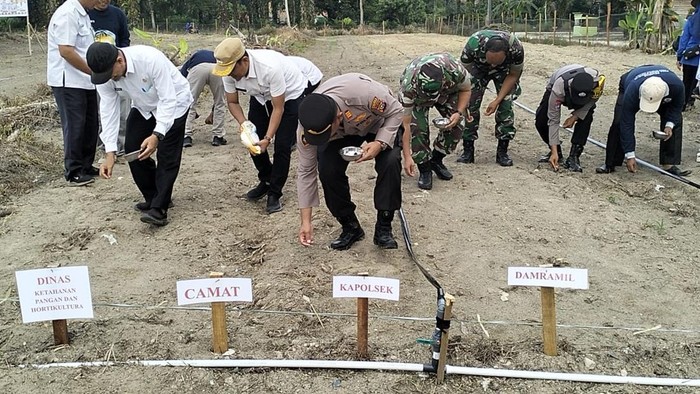 Polres Kuansing melanjutkan penanaman jagung pascapanen Kuartal II, pada Rabu (2/7/2025).