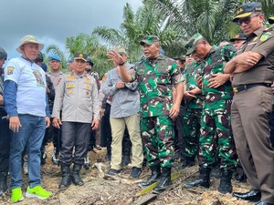 311 Ha Kebun Sawit di TNTN Diserahkan ke Satgas PKH