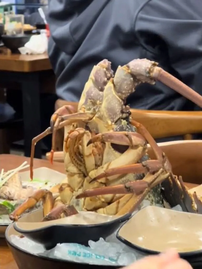 Restoran Jadi Sorotan karena Diduga Tawarkan Hidangan Lobster Hidup