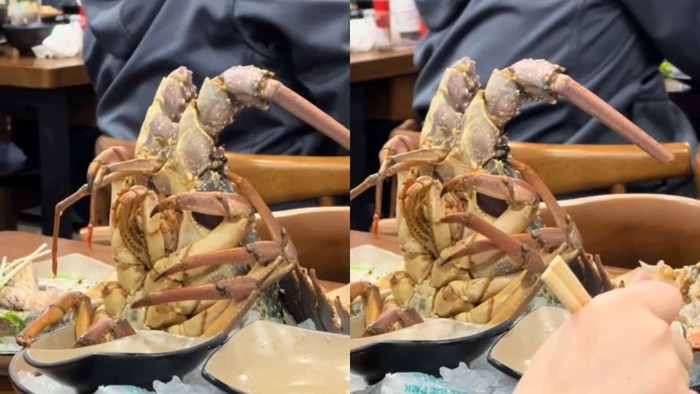 Restoran Jadi Sorotan karena Diduga Tawarkan Hidangan Lobster Hidup