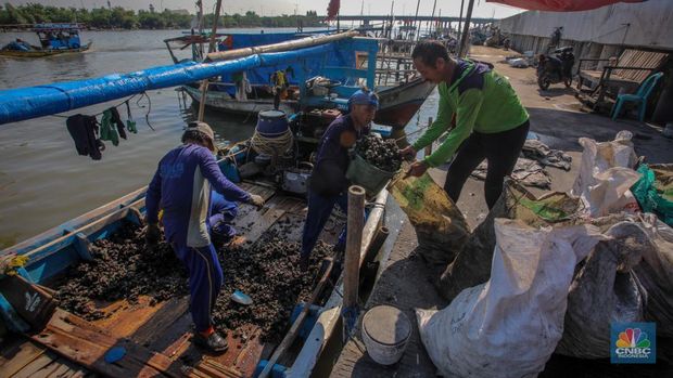 Suasana aktivitas warga di dekat tanggul laut Dadap, Kabupaten Tangerang, Banten, Rabu (2/7/2025). (CNBC Indonesia/Faisal Rahman)