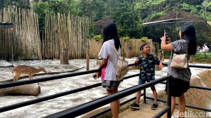 Suasana kunjungan di Bandung Zoo.