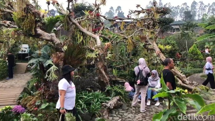 Wisata Dusun Kuliner, Kota Batu yang sering disebut negeri dongeng