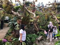 Daya Tarik Wisata Dusun Kuliner Kota Batu Bak Negeri Dongeng