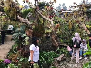 Dusun Kuliner Kota Batu, Wisata Hits dengan Taman Bunga dan Playground