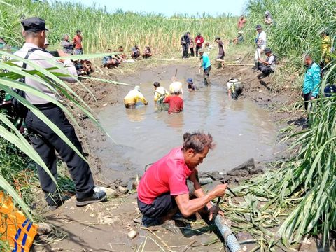 Buaya yang ditangkap tim gabungan di Sungai Progo, Juwono, Triharjo, Pandak, Bantul, Kamis (3/7/2025).