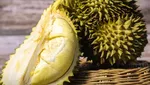 10 Durian Legit Asal Thailand yang Diburu Penggemarnya